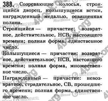 ГДЗ Російська мова 7 клас сторінка 388